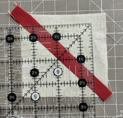 stem6